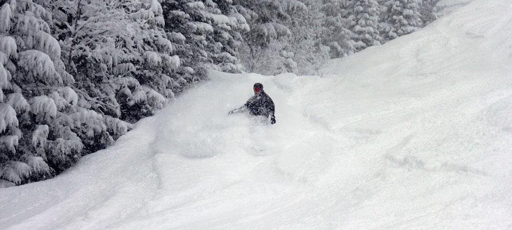 Revelstoke Fresh Snow