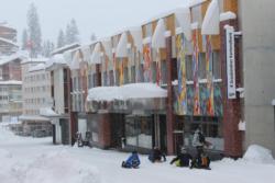 Arosa Street Snowboarders