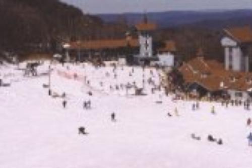 Beech Mountain