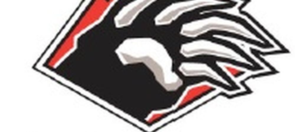 Bear Mountain Logo