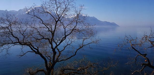 lake-geneva.jpg