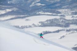 Niseko freeriding 2