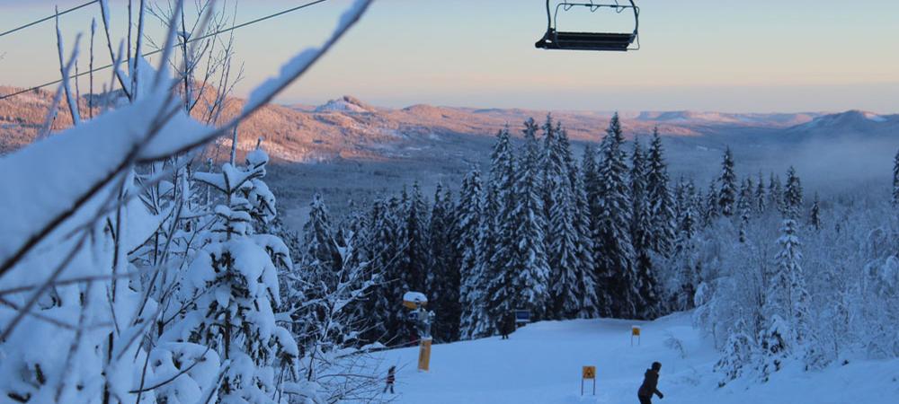 Trysil Piste Trees