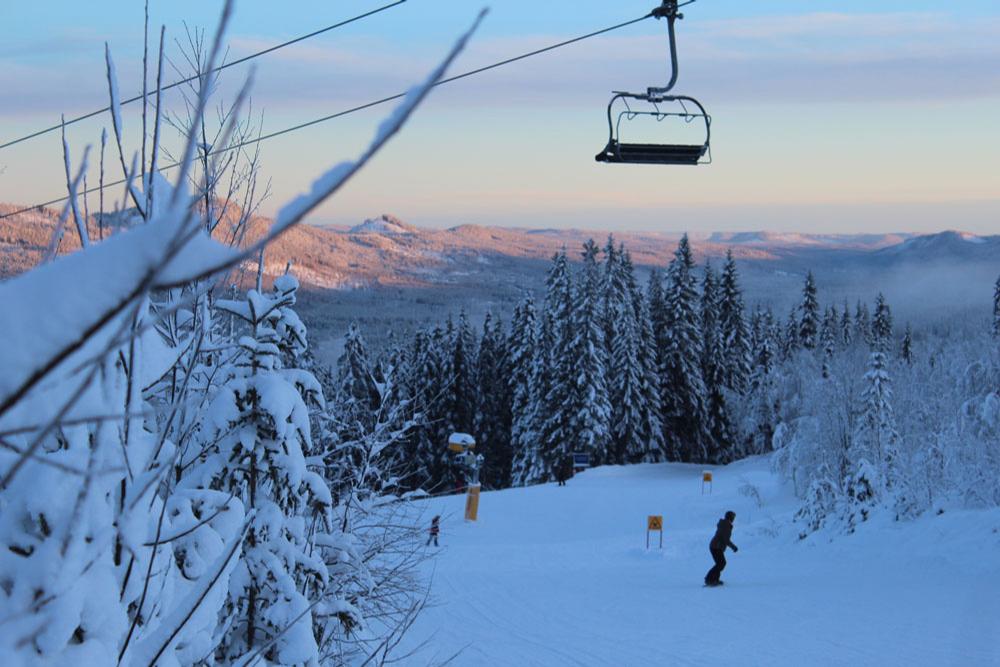 Trysil Piste Trees