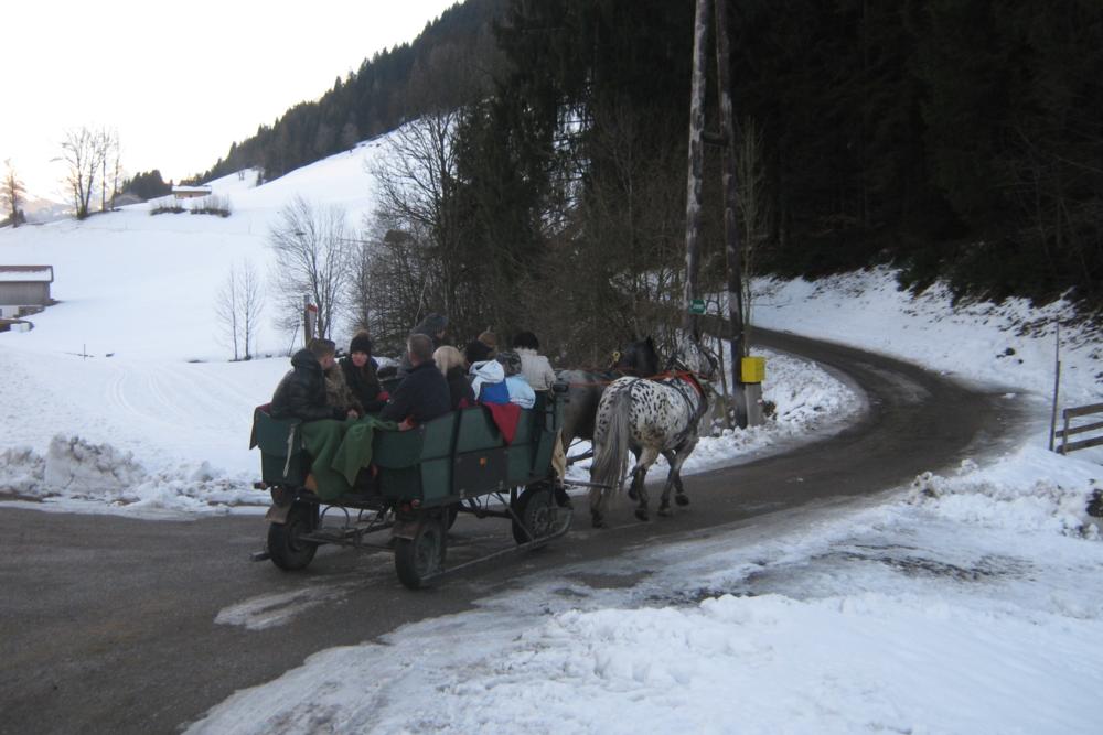 Niedrau Horse Drawn Sleigh
