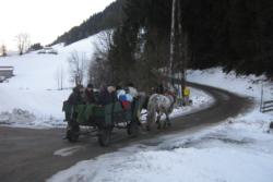 Niedrau Horse Drawn Sleigh