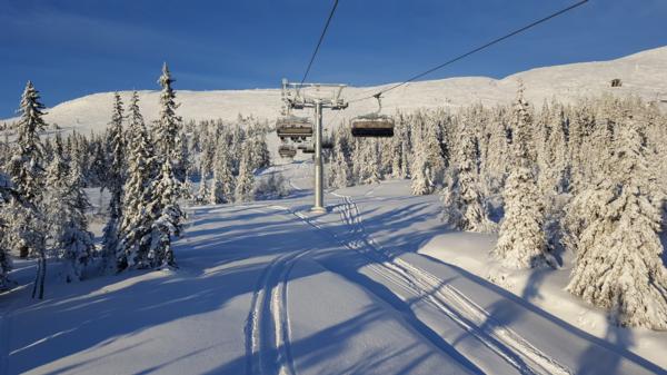 Freeriding Under the Lifts