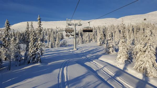 Freeriding Under the Lifts