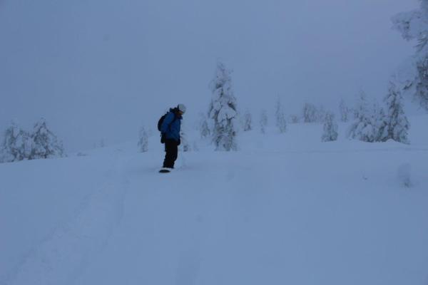 Snow Surfing with dog