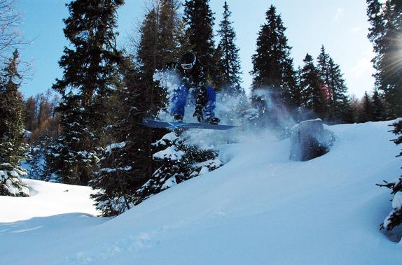 Lenzerheide tree run, rider: B.Barringer 1/Apr/10