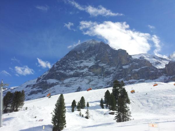 Wengen Vista