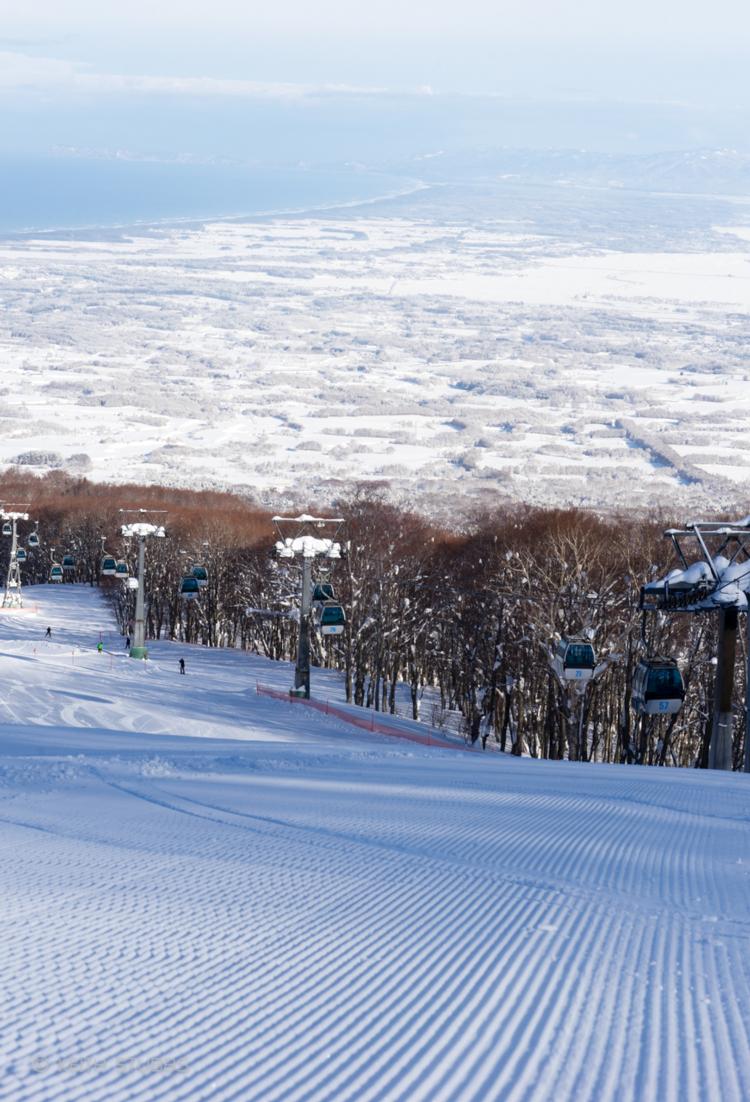 Aomori Spring