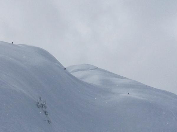 Alpine Freeriding at Mt Baker