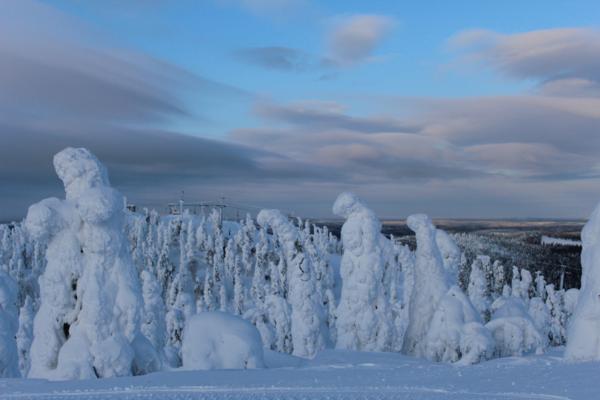 Ruka Ghost Trees