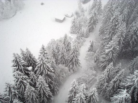 Laax overhead powder trees