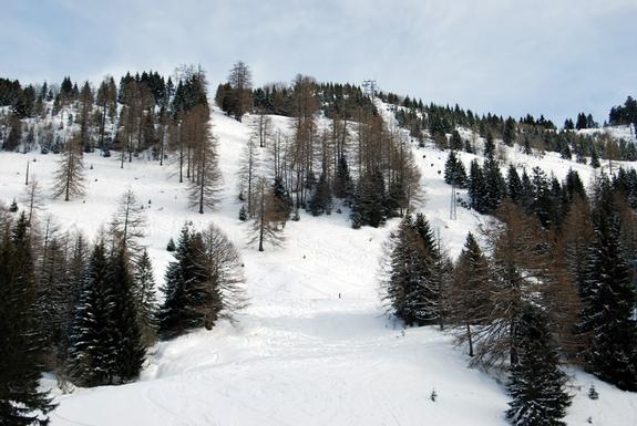 Torgon slopes