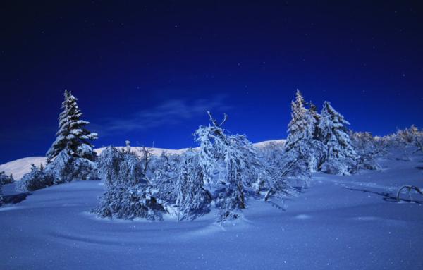 Star Hunting Trysil