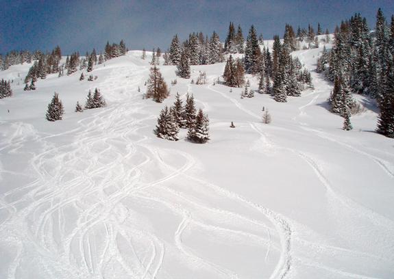 Flachau-Winkl Pow day