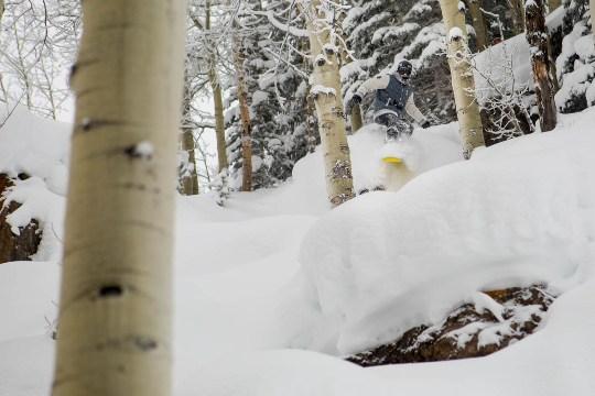 Aspen Pillows