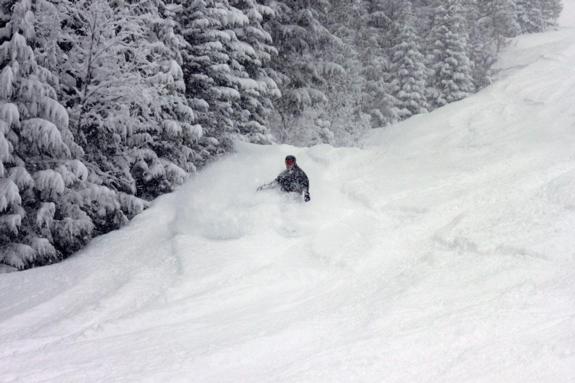 Revelstoke Fresh Snow