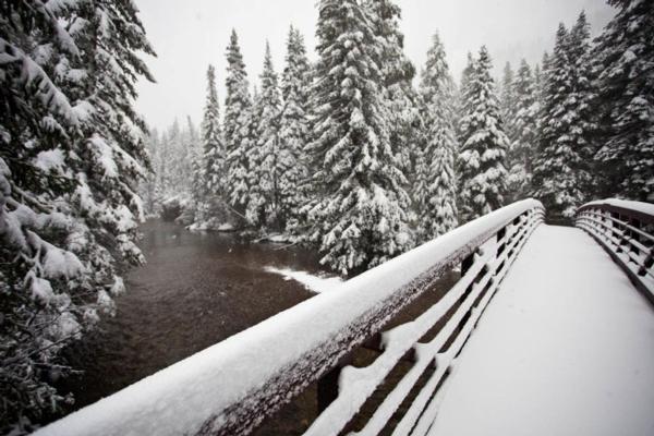 Aspen / Snowmass Snow Fall