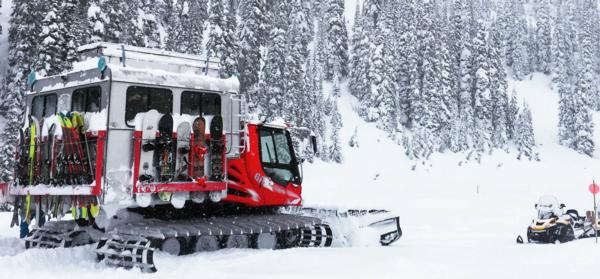 Cat Boarding Revelstoke