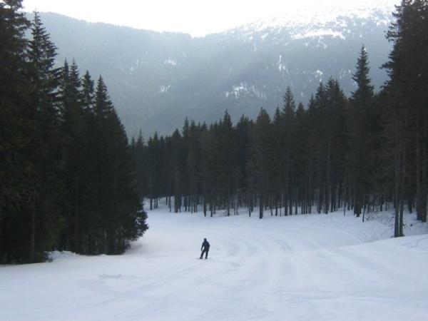 Long Blue Run Jasna