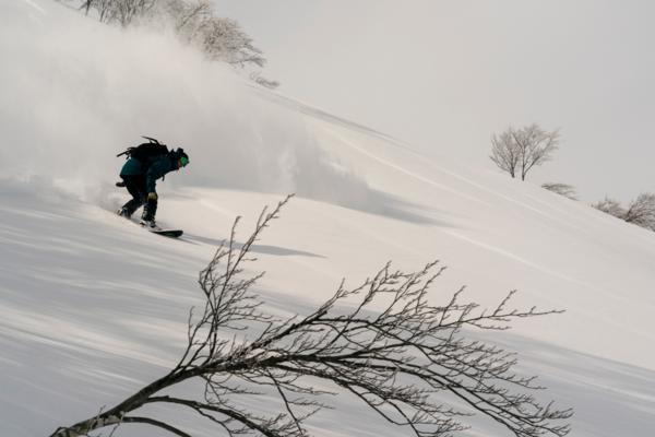 Lotte Arai, Rider Andrew Kelly