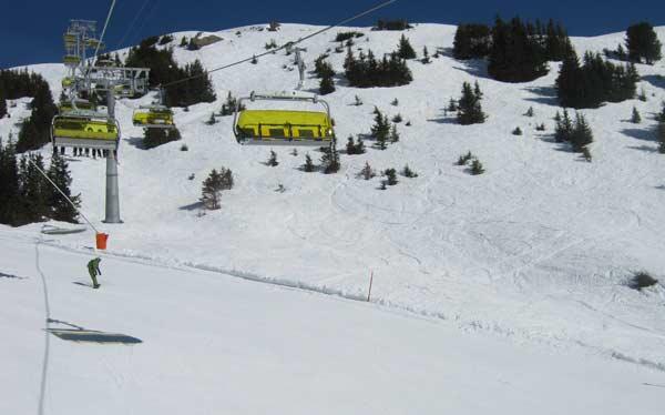 Wengen Snowboarder