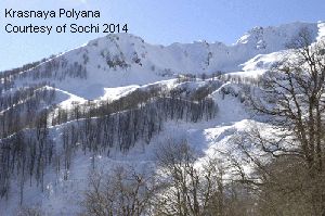 Krasnaya Polyana