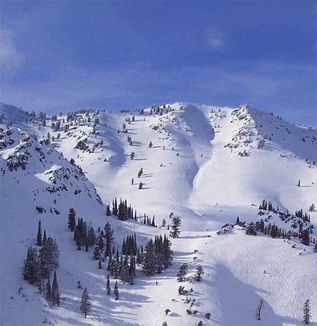 Powder Mountain